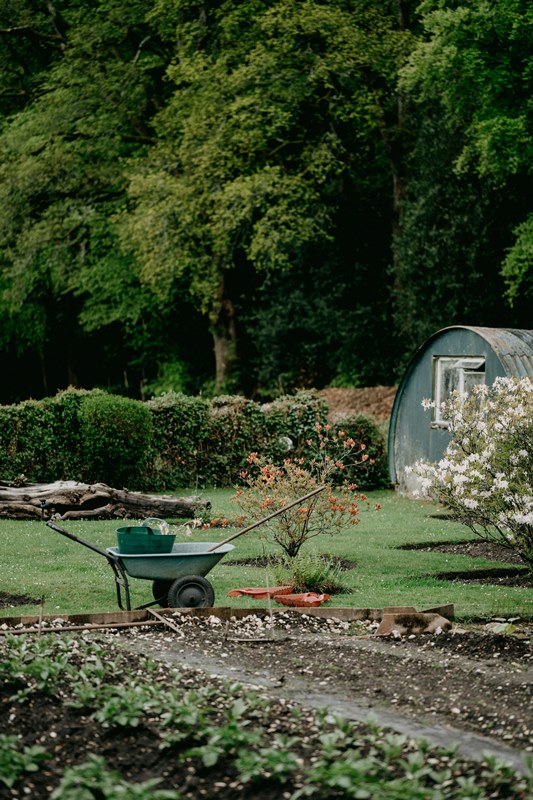 Garten entrümpeln - Gartenhaus